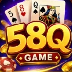58Q Game
